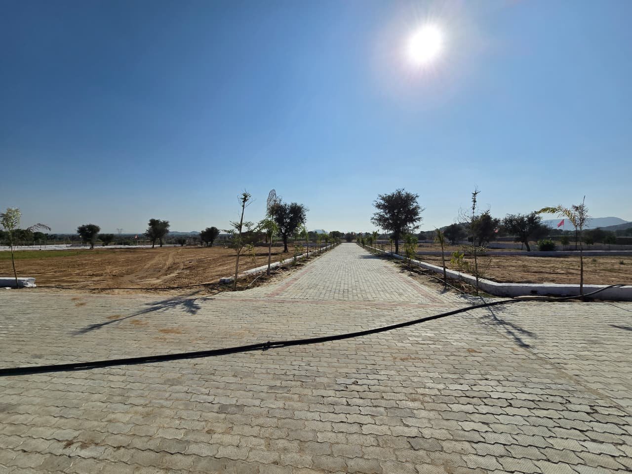 Hill Station Valley — Tree-lined entry avenue with paved access road, Jaipur, Rajasthan farmhouse project by Koncept Infra Studios